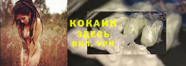 PSILOCYBIN Богородицк