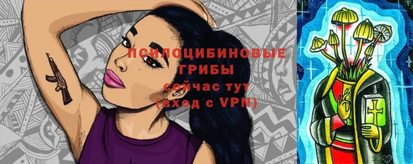 PSILOCYBIN Богородицк