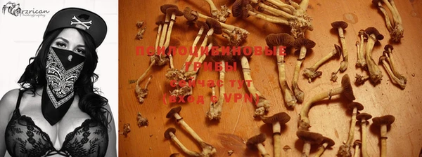 ГАЛЛЮЦИНОГЕННЫЕ ГРИБЫ Богородск