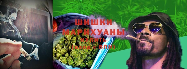 PSILOCYBIN Богородицк